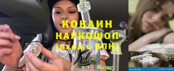 apvp Алзамай