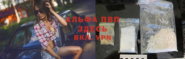 apvp Алзамай