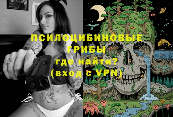 apvp Алзамай