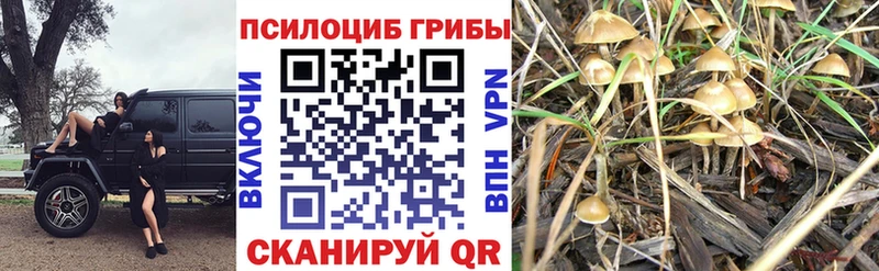 Галлюциногенные грибы MAGIC MUSHROOMS  Балабаново 